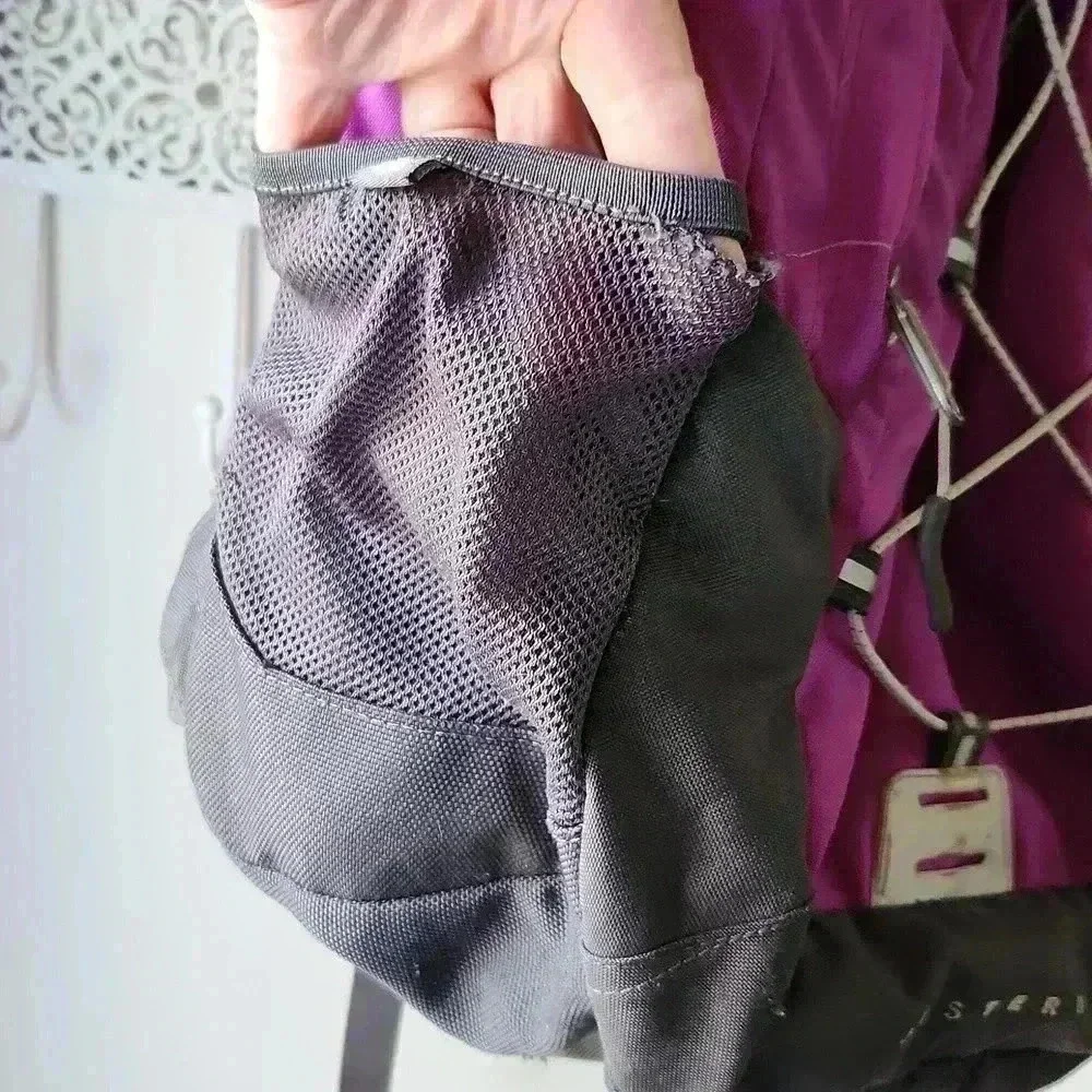 North Face Jester II‎ Backpack Purple